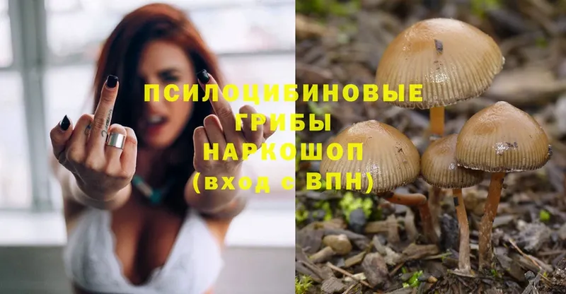 Галлюциногенные грибы Magic Shrooms  наркотики  Иннополис 